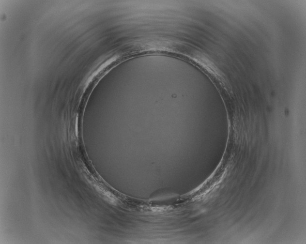 X0000067890790200604201308