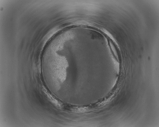 X0000067890791200604201308