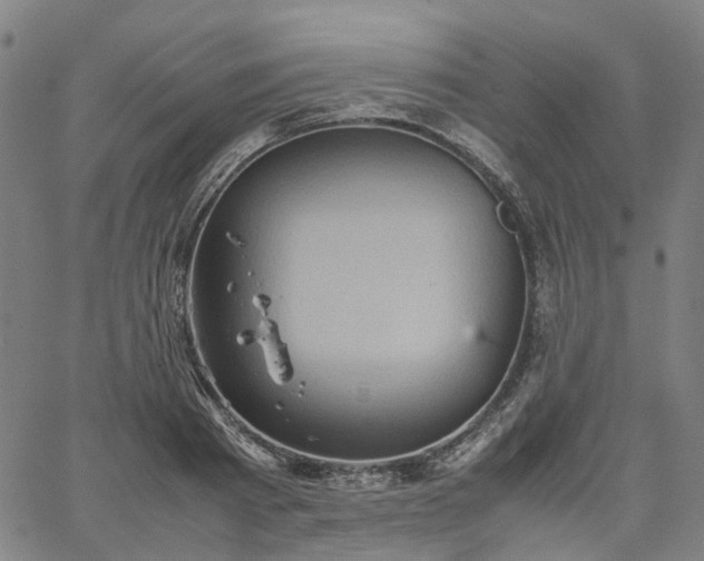 X0000067890793200604201308