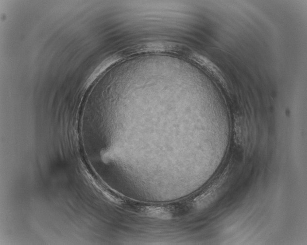 X0000067890794200604201308