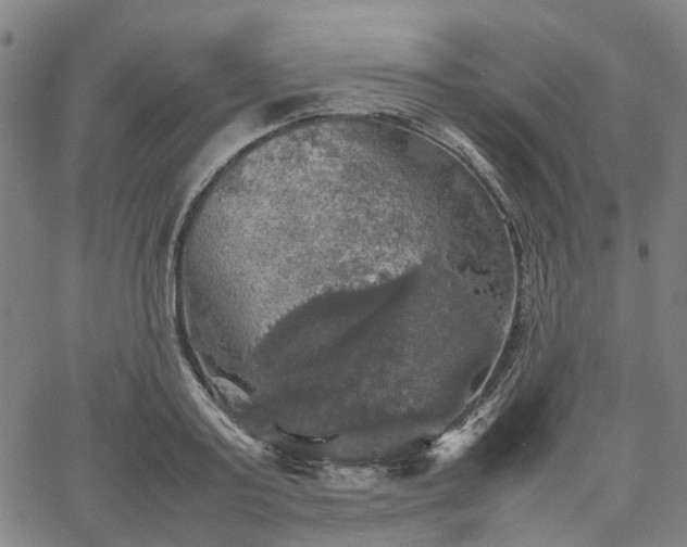 X0000067890795200604201308