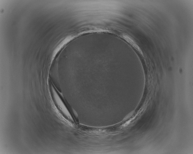 X0000067890797200604201308