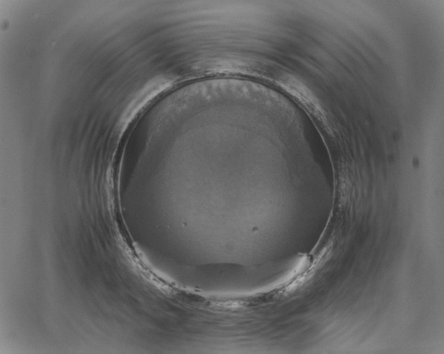 X0000067890798200604201308