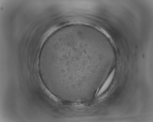 X0000067890799200604201308