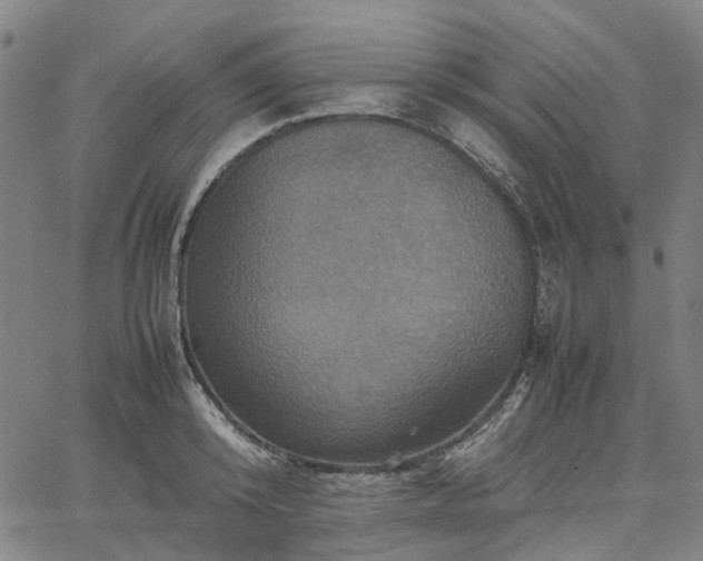 X0000067890800200604201308