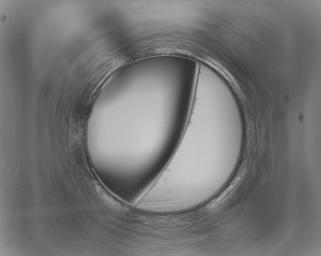 X0000067890801200604201307