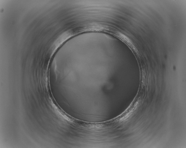 X0000067890802200604201307