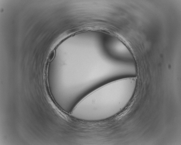 X0000067890803200604201307