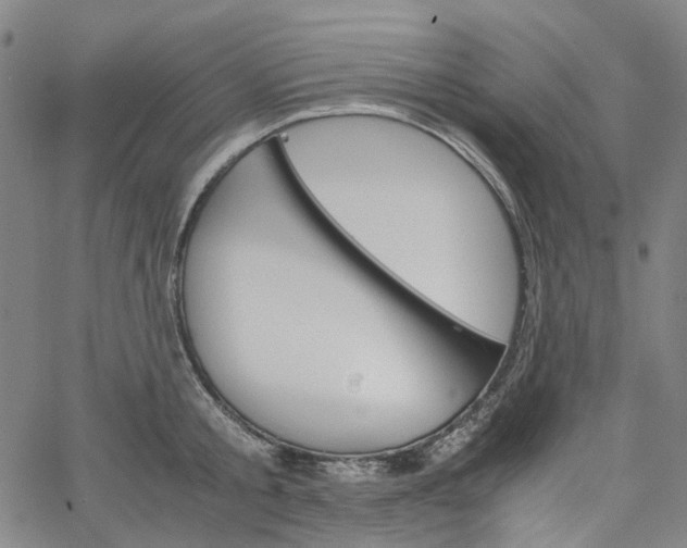 X0000067890805200604201307