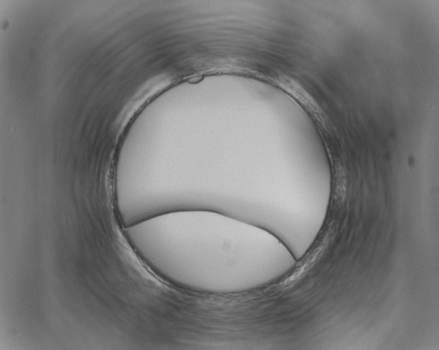 X0000067890806200604201307