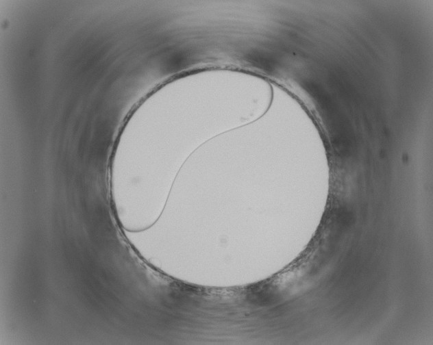 X0000067890807200604201307