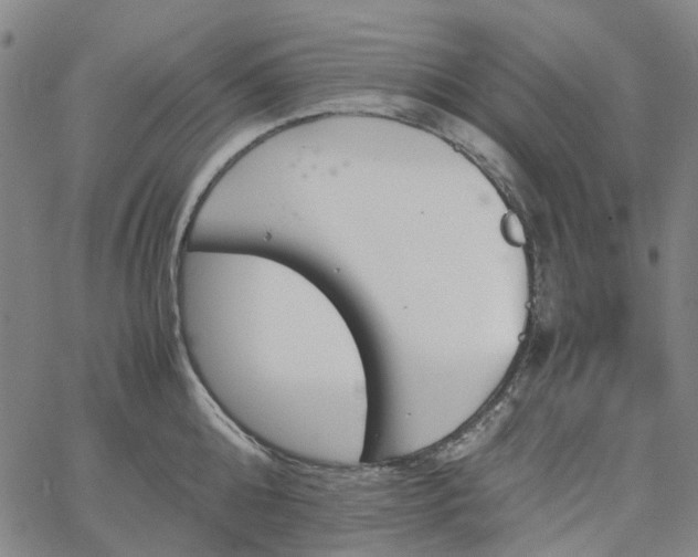 X0000067890808200604201307