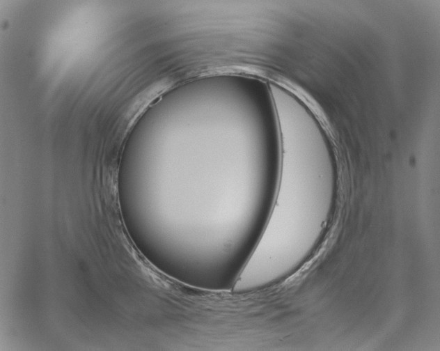 X0000067890809200604201307