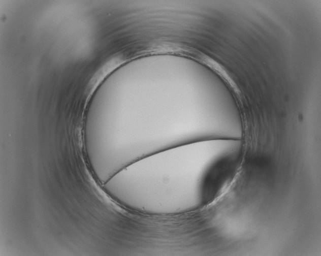 X0000067890810200604201307