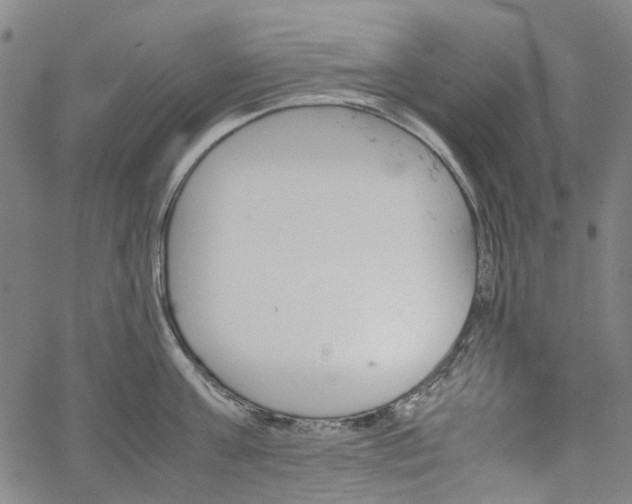 X0000067890811200604201307