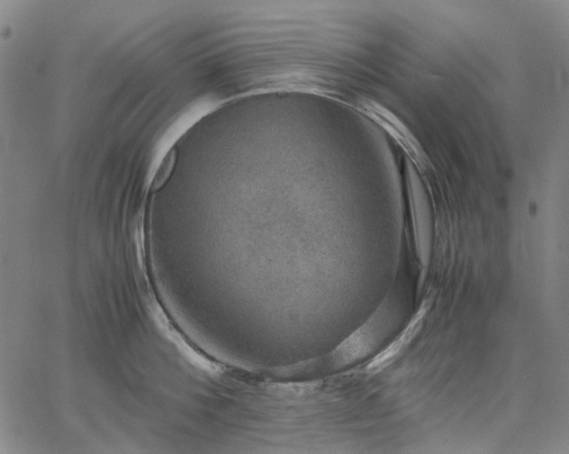 X0000067890812200604201307