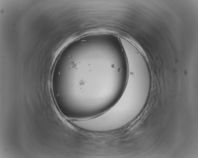 X0000067890813200604201307