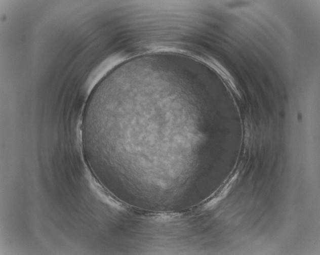 X0000067890814200604201307