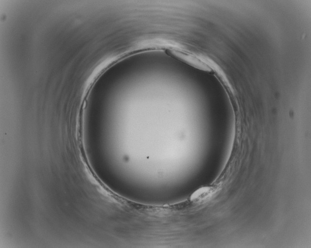 X0000067890815200604201307