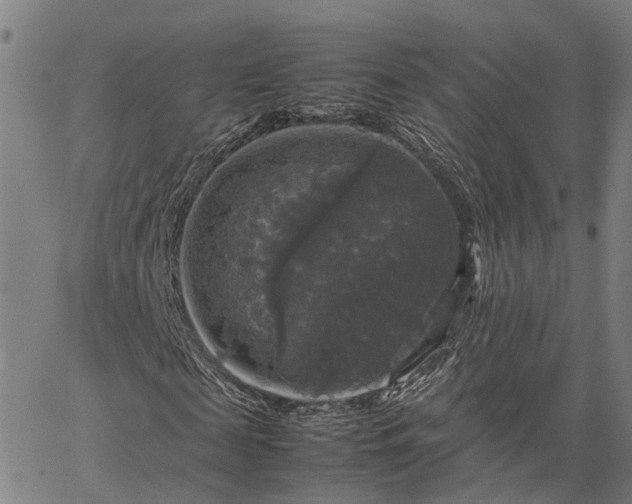 X0000067890817200604201306