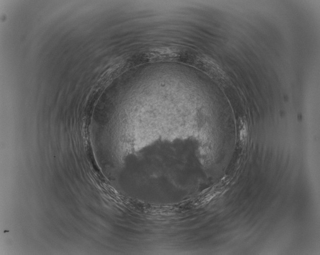 X0000067890819200604201307