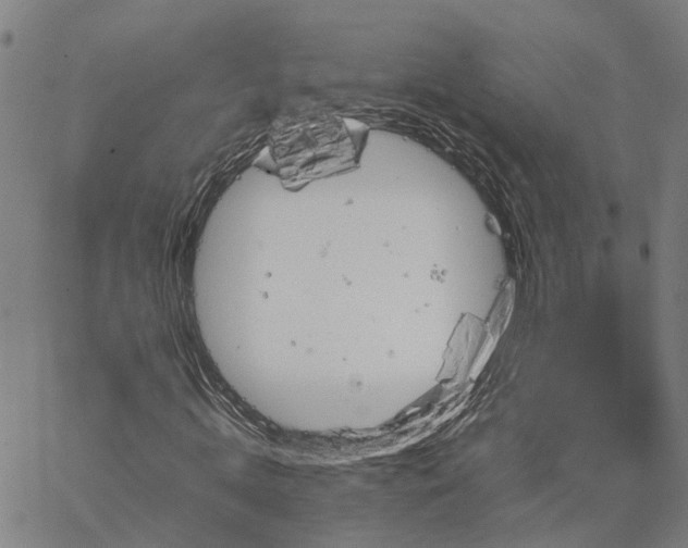 X0000067890820200604201307