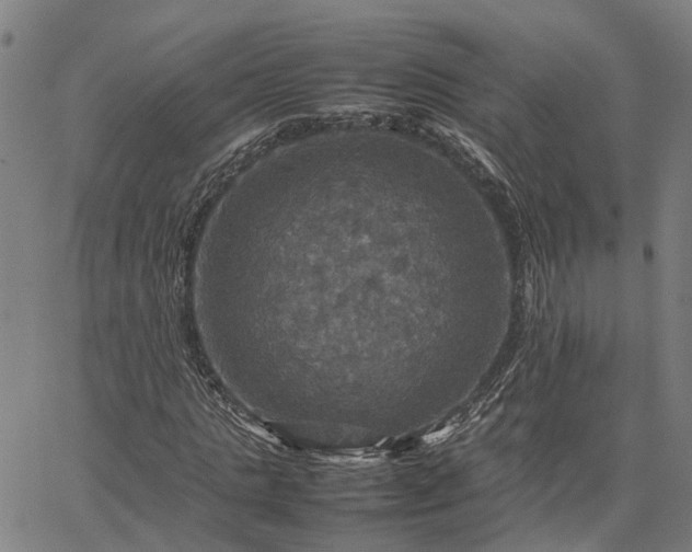 X0000067890821200604201307