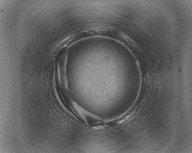 X0000067890822200604201307