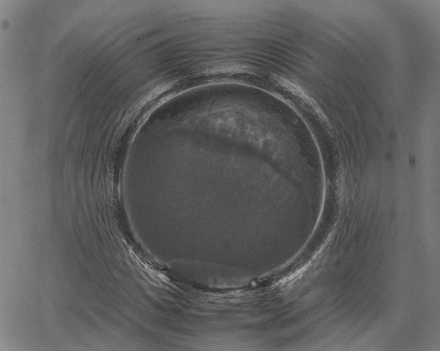 X0000067890825200604201307