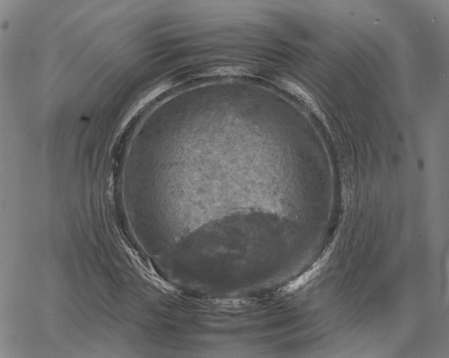 X0000067890827200604201307