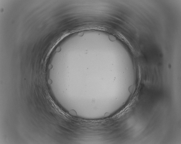 X0000067890828200604201307