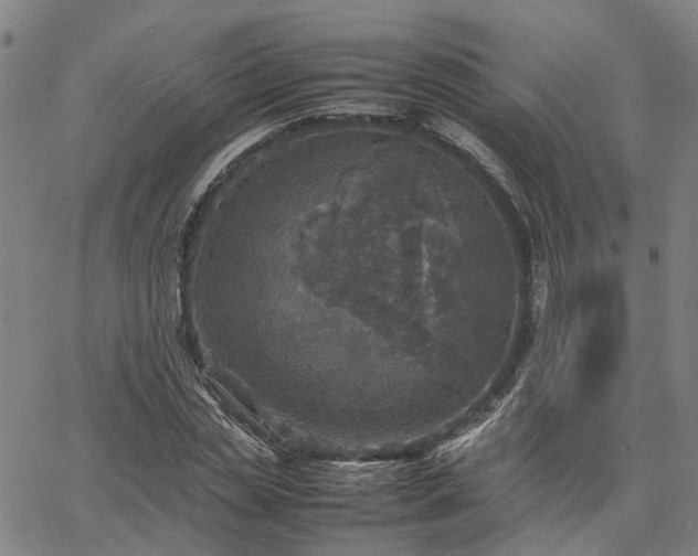 X0000067890829200604201307