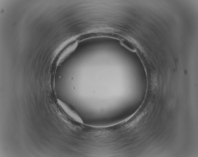 X0000067890830200604201307