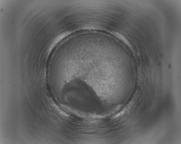 X0000067890831200604201307