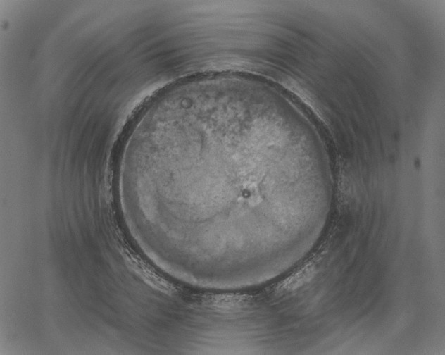 X0000067890832200604201307