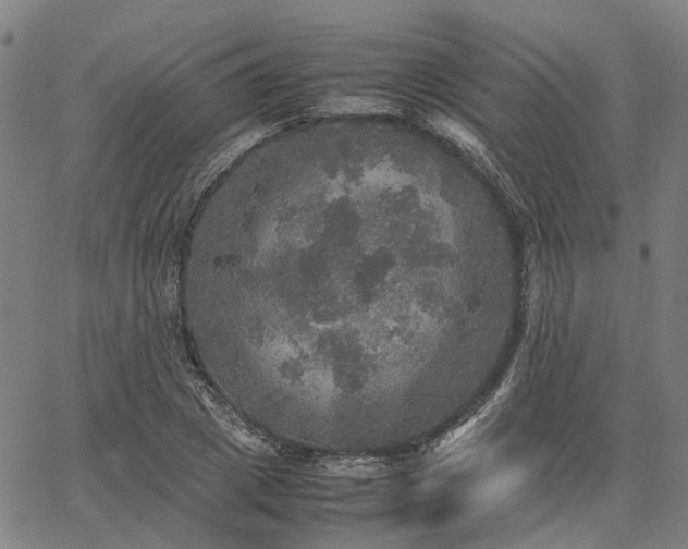 X0000067890833200604201307