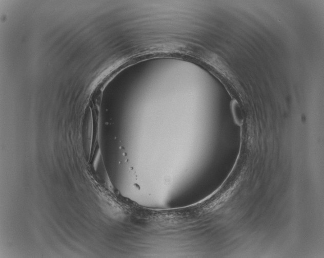 X0000067890834200604201307