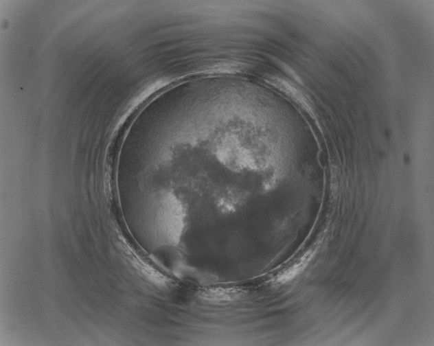 X0000067890835200604201307