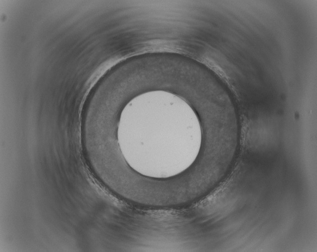 X0000067890836200604201307