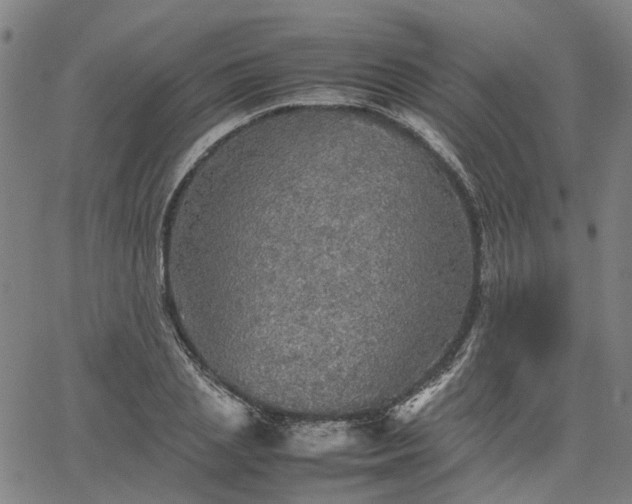 X0000067890837200604201307