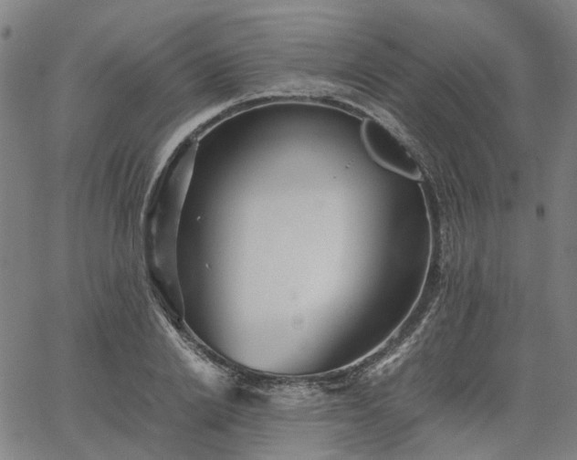 X0000067890838200604201307