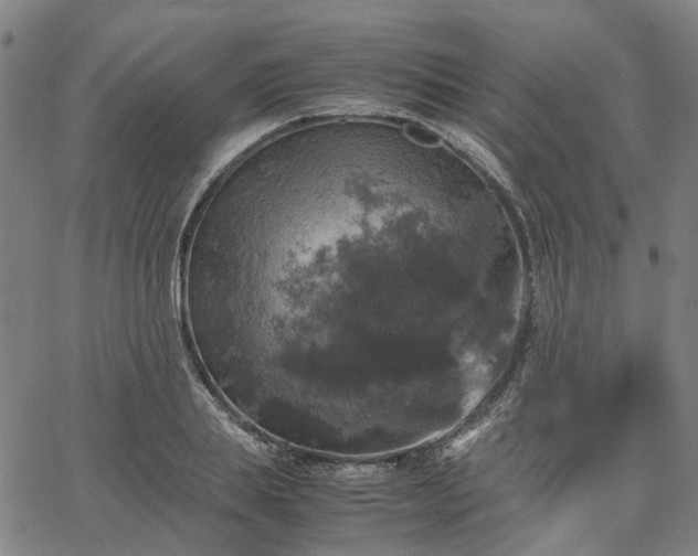 X0000067890839200604201307