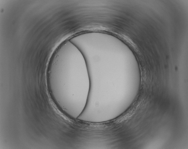 X0000067890840200604201307