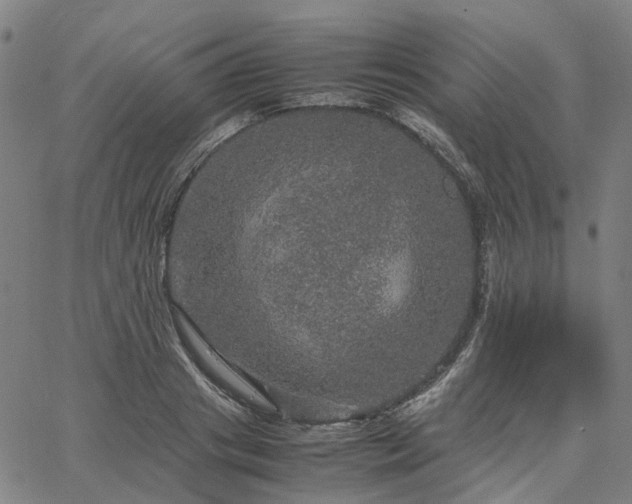 X0000067890841200604201307