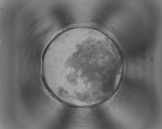 X0000067890844200604201307