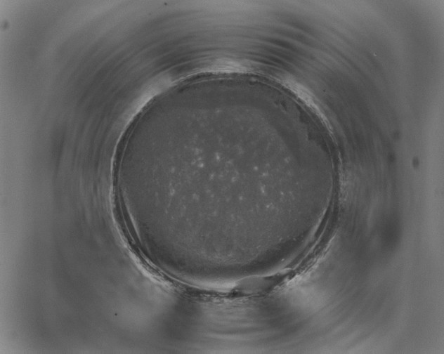 X0000067890845200604201307