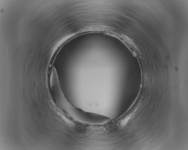 X0000067890846200604201307