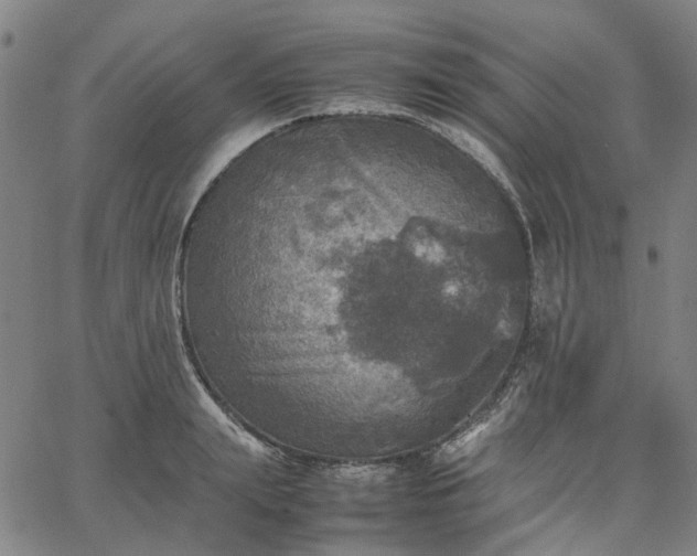 X0000067890847200604201307