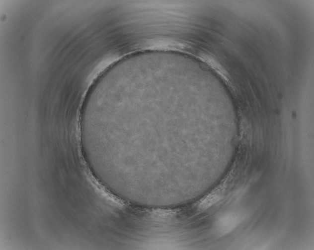 X0000067890848200604201307