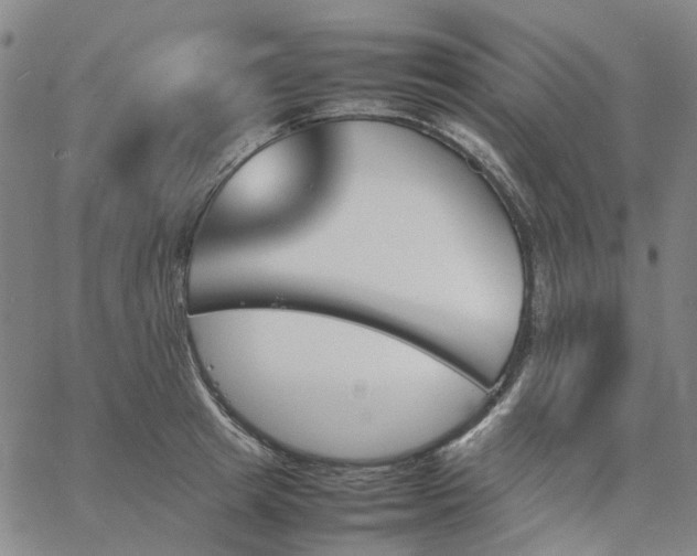 X0000067890849200604201307